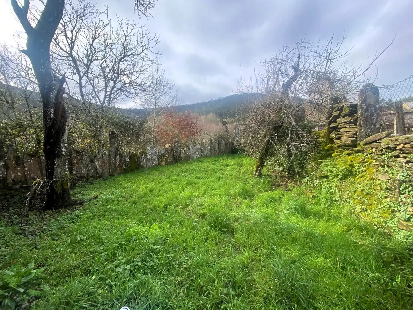 Casa o chalet en venta en Boborás con Calefacción, Jardín privado y Amueblado