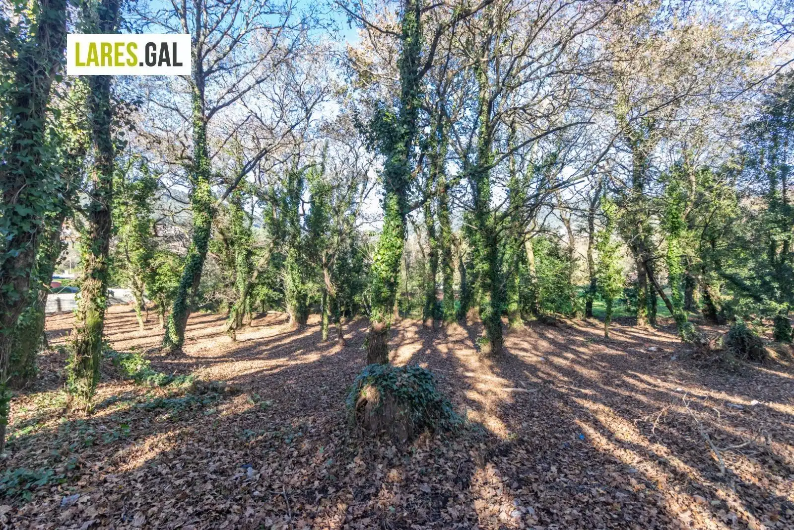 Lands and plots for sale in Rúa Ximeu, imagen 9