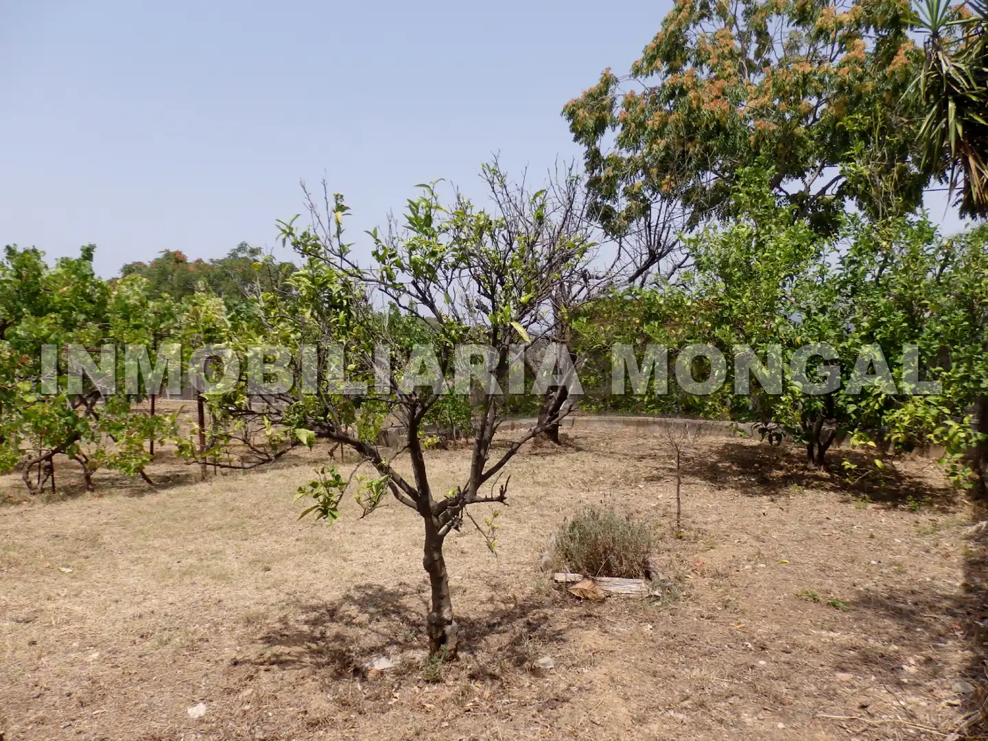 Terreny residencial en venda a Carrer de Can Paulet, imagen 9