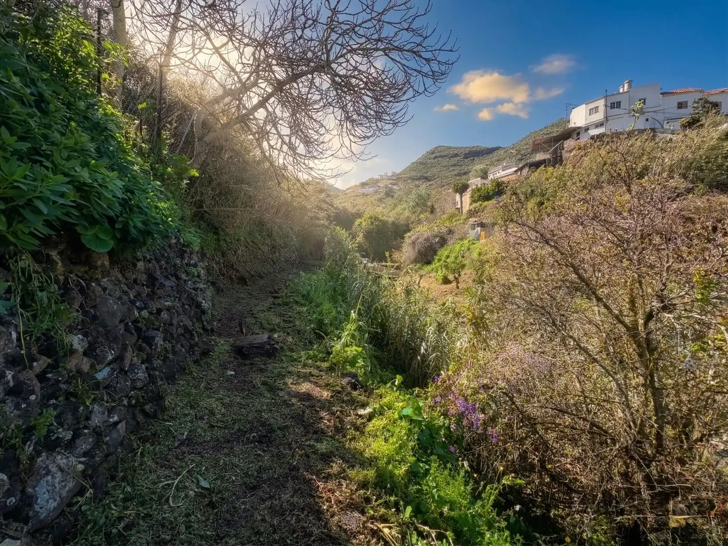 Maison rustique à vendre à Calle el Llano 18, imagen 54