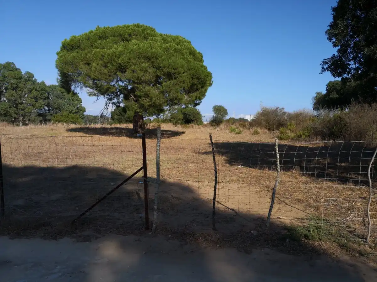 Terreno rustico in vendita a Barbate ciudad, imagen 9