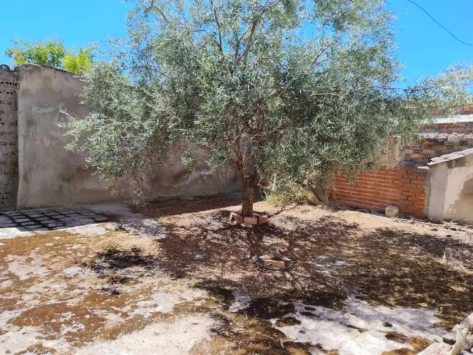 Maison à vendre à La Mata, imagen 51