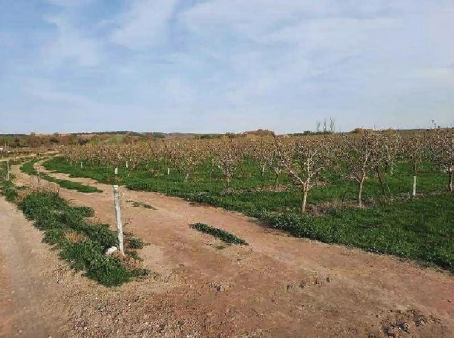 Rustikales Grundstück zum Verkauf in FENOJAL 0, imagen 4