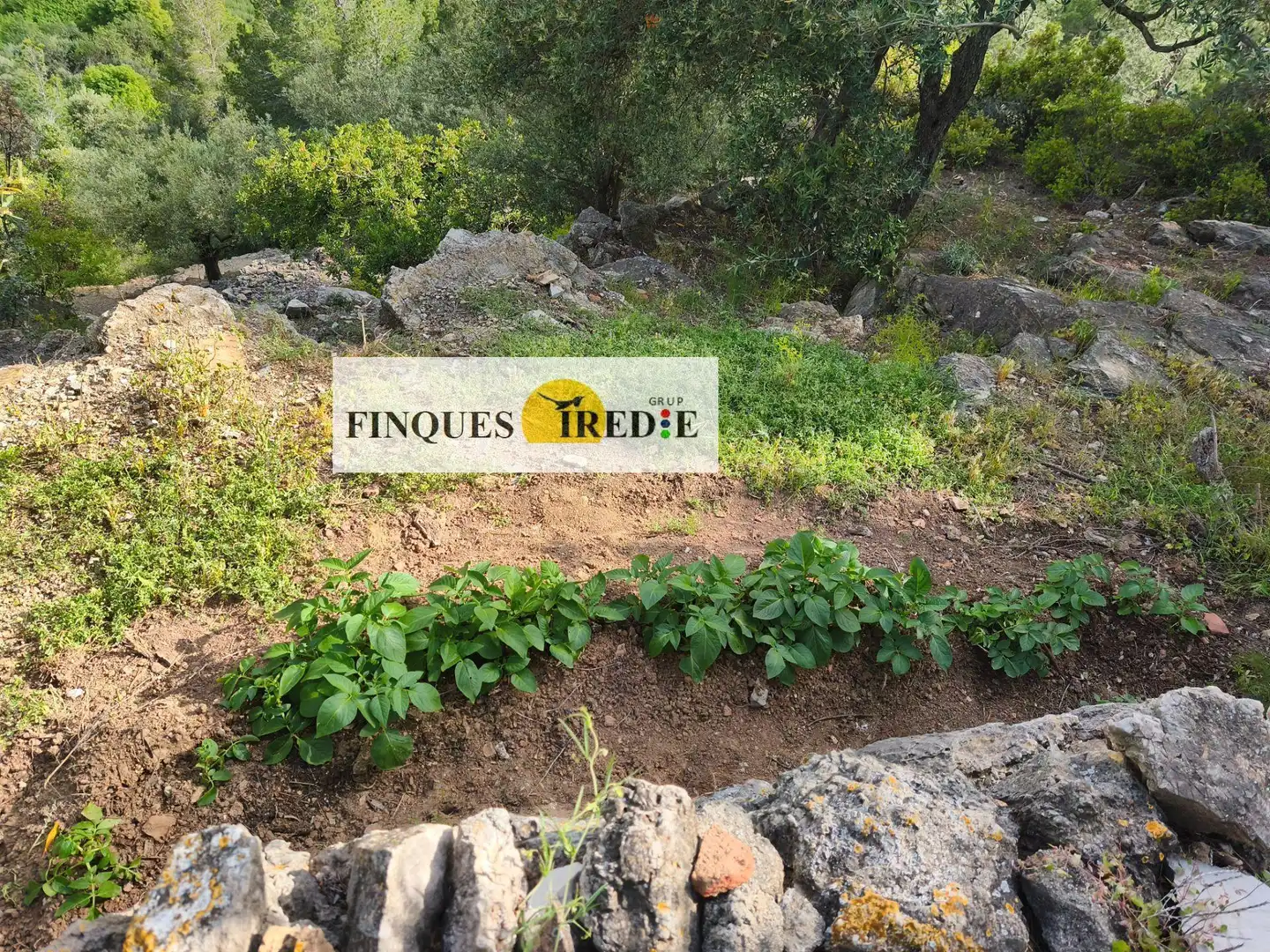 Casa en venta en Alfara de Carles, imagen 22