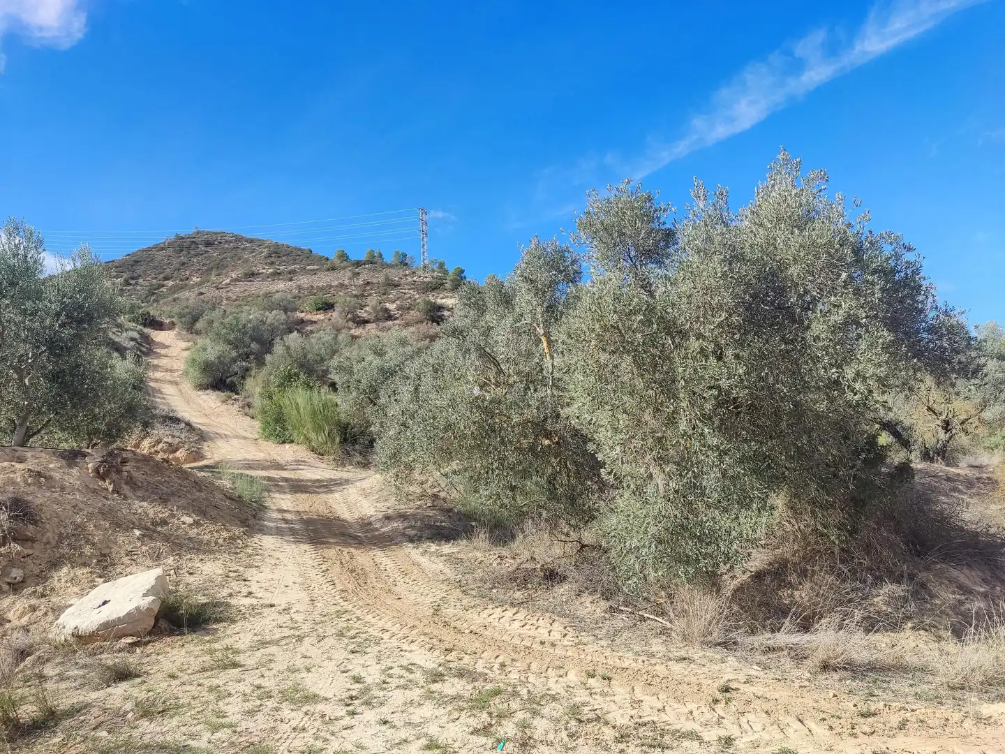 Terrain rustique à vendre à Riba-roja d'Ebre, imagen 4
