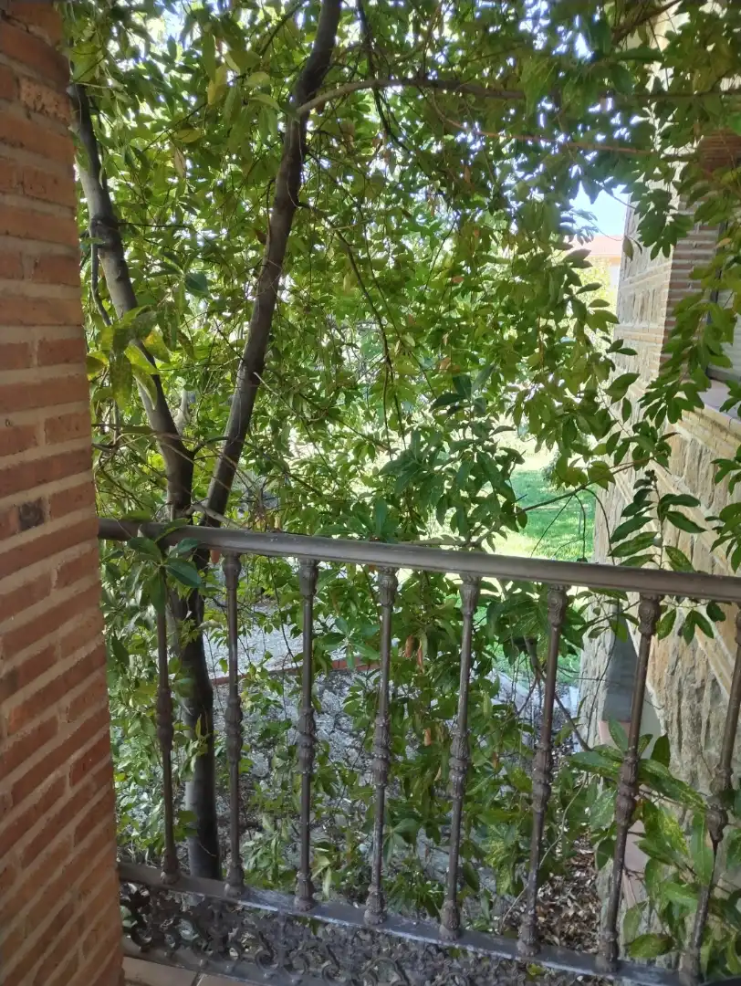 Casa o chalet en venta en Paseo de Recoletos, 32, El Tiemblo