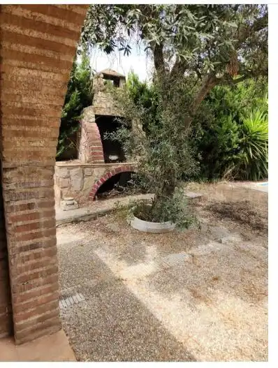 Jardín de Casa o chalet en venta en Gallur con Piscina