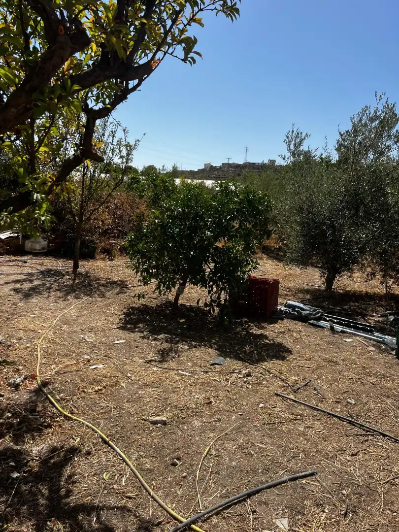 Casa rústica en venta en Carretera a Galachar, imagen 15