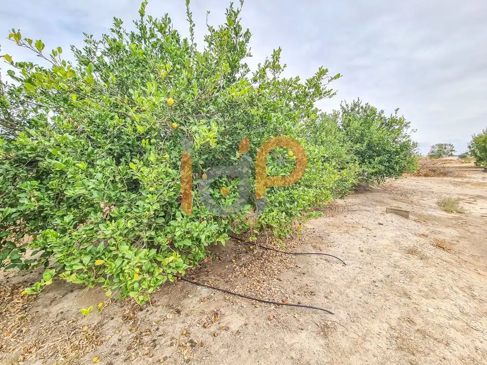 House for sale in Huércal-Overa, imagen 11