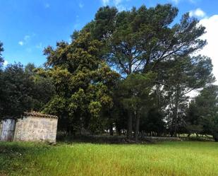 Finca rústica en venda en Selva