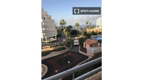 Foto 2 de Estudi per a compartir a Playa de las Américas, Santa Cruz de Tenerife