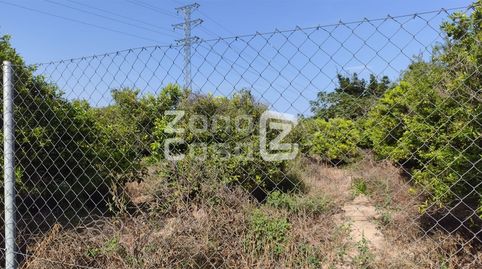 Foto 3 de Finca rústica en venta en Poligono 5 Paraje 34 Campins, Benicull de Xúquer, Valencia