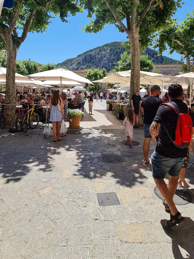 Vista exterior de Finca rústica en venda en Pollença amb Jardí privat, Terrassa i Traster