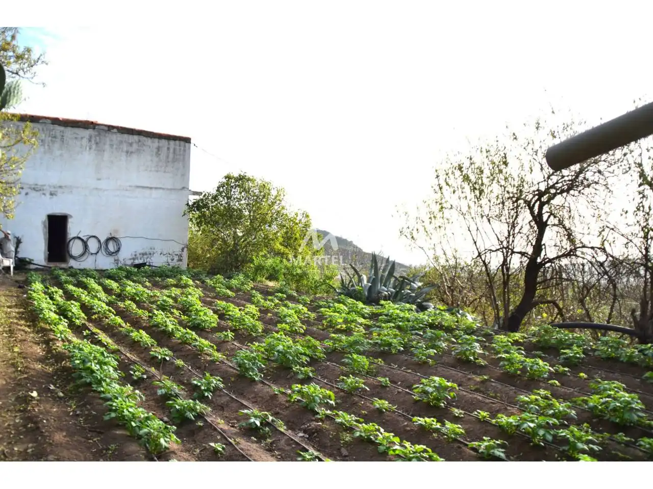 Garden of Land for sale in Valsequillo de Gran Canaria