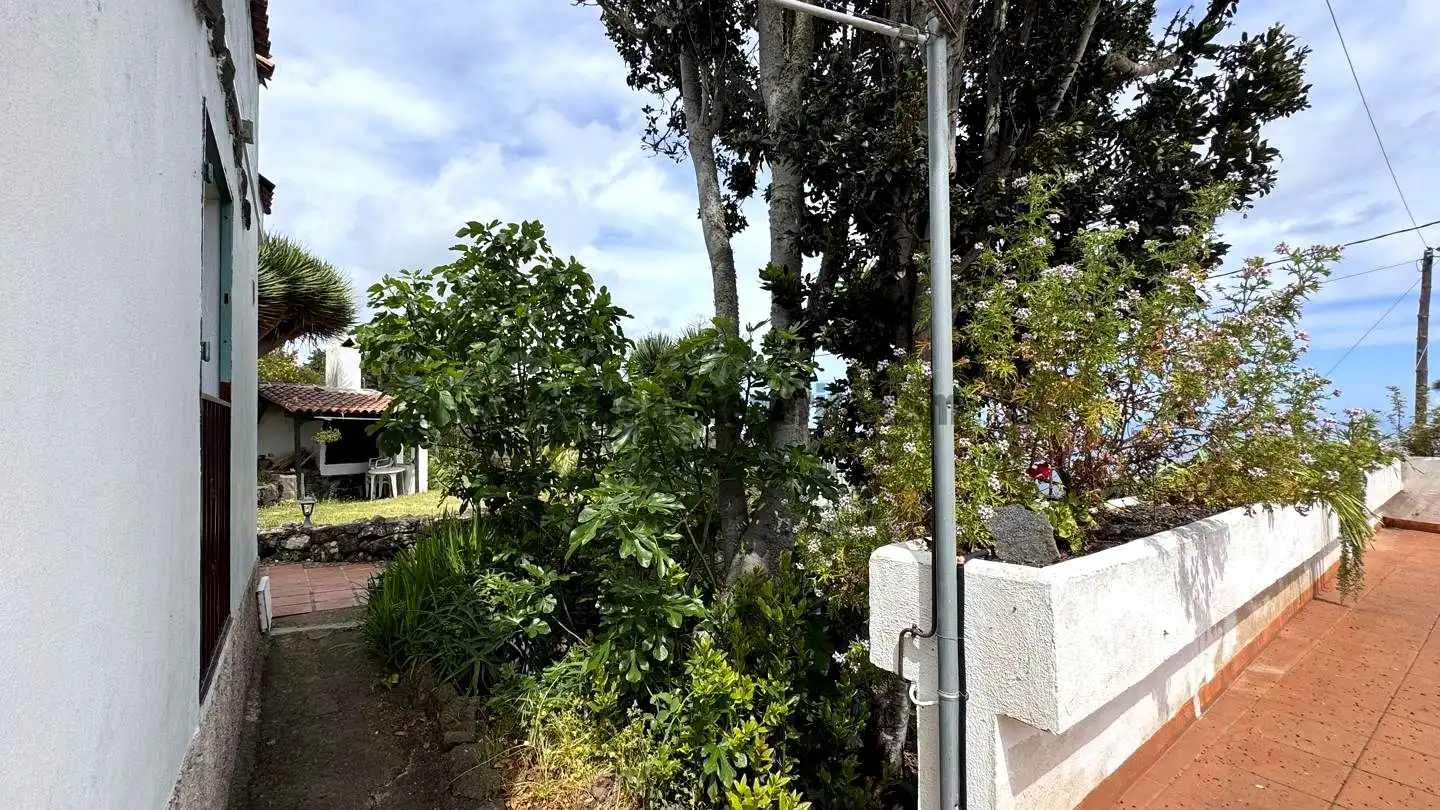 Vista exterior de Finca rústica en venta en Icod de los Vinos con Piscina