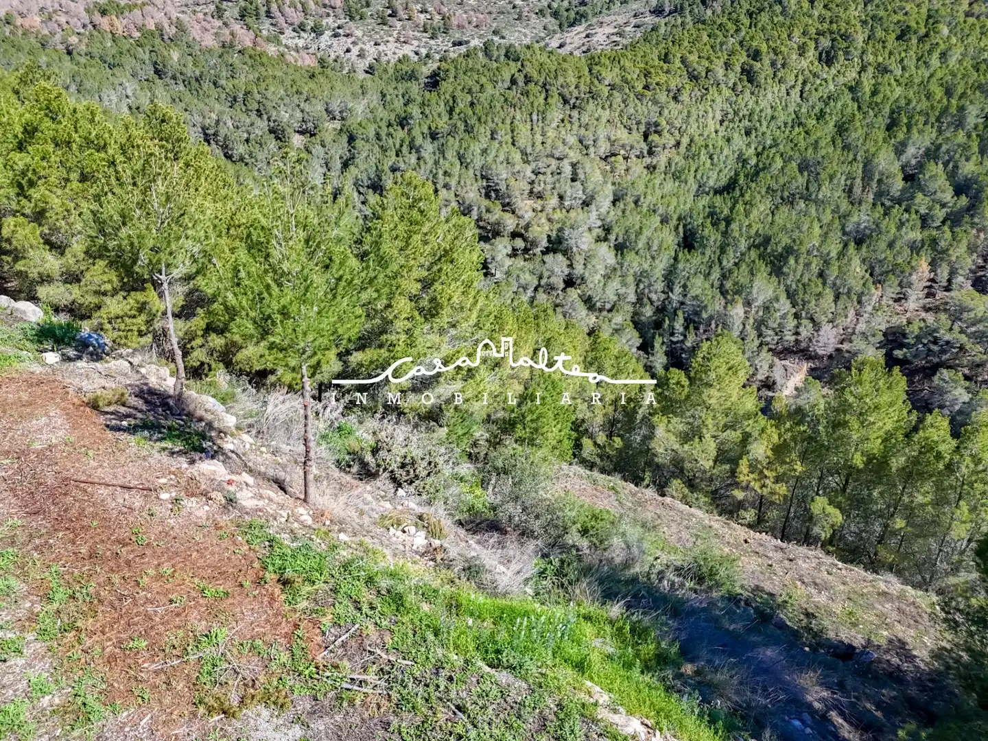 Terreny residencial en venda a Callosa d'en Sarrià, imagen 6