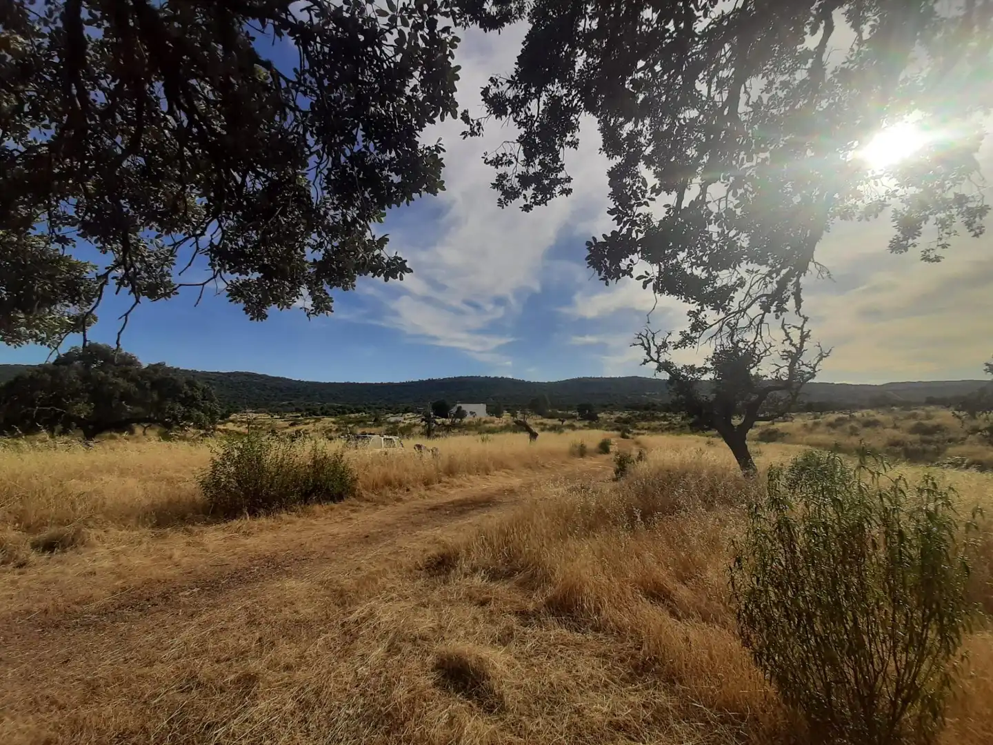 Casa o xalet en venda en Cáceres amb Calefacció, Jardí privat i Terrassa