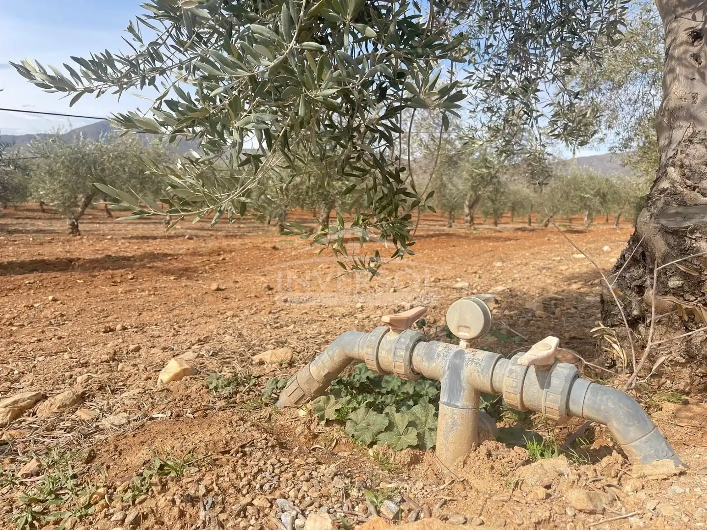 Terreno en venta en Uleila del Campo
