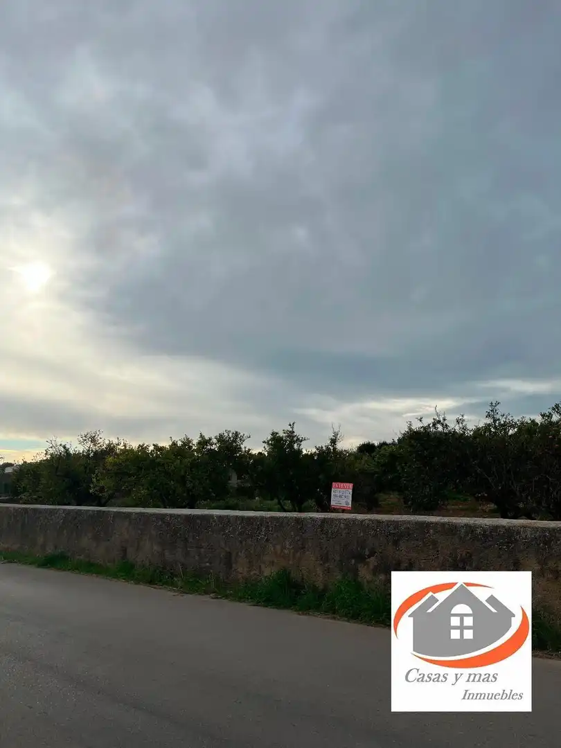 Terreno rustico in vendita a moli de llop, imagen 12