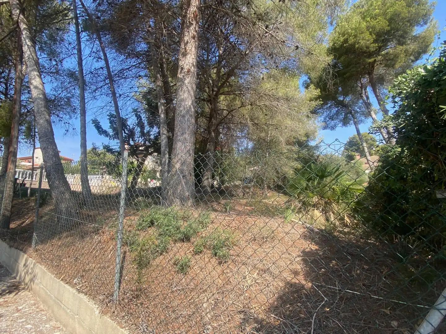 Terreny residencial en venda a Passeig GARBI, imagen 3