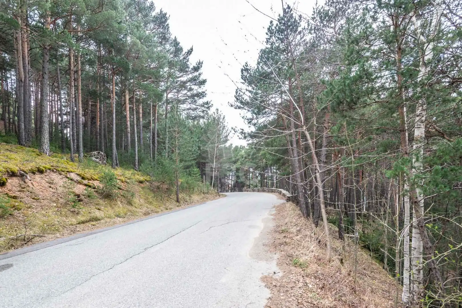 Terreno en venta en Aubinyà - Juberri