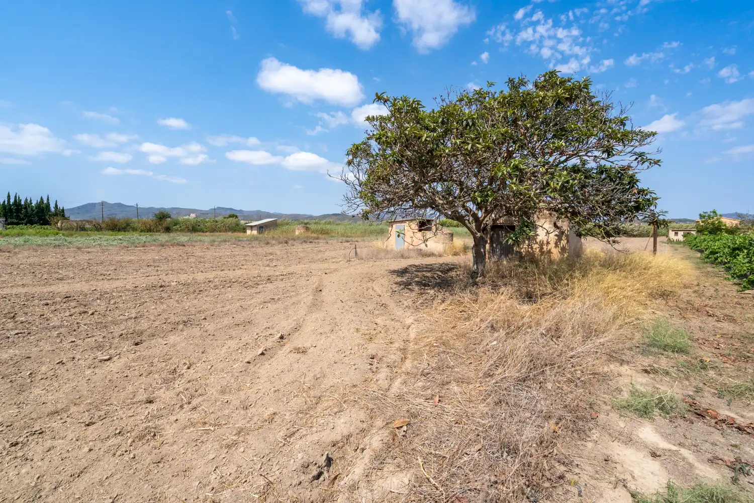 Rural land for sale in Ginestar, imagen 7