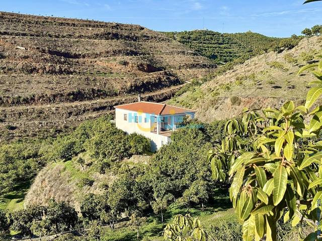Finca rústica en Venta en Camino Algarrobo - Las Arenas