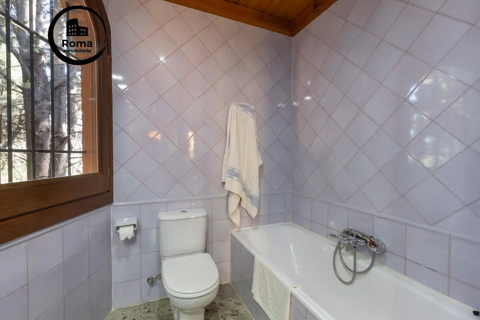 Detached house with terrace for sale in Calle ALEMANIA, imagen 44