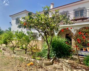Jardí de Casa o xalet en venda en Alcaucín amb Aire condicionat, Jardí privat i Terrassa