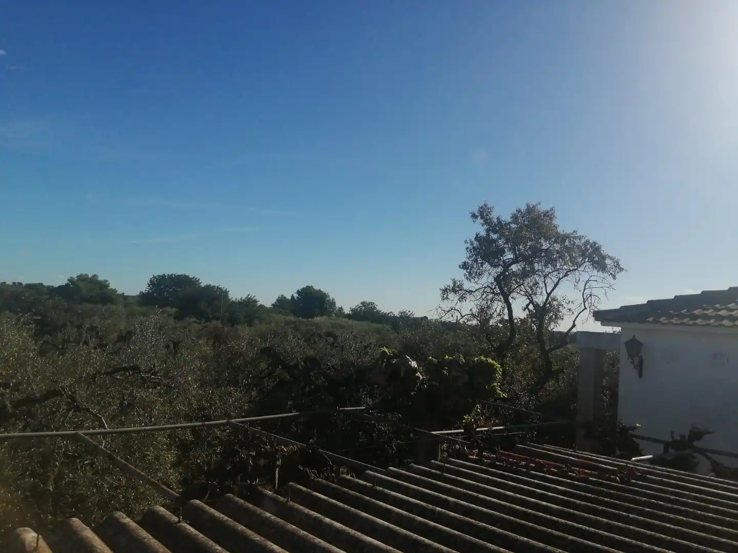 Villa in vendita a Riudoms, imagen 44