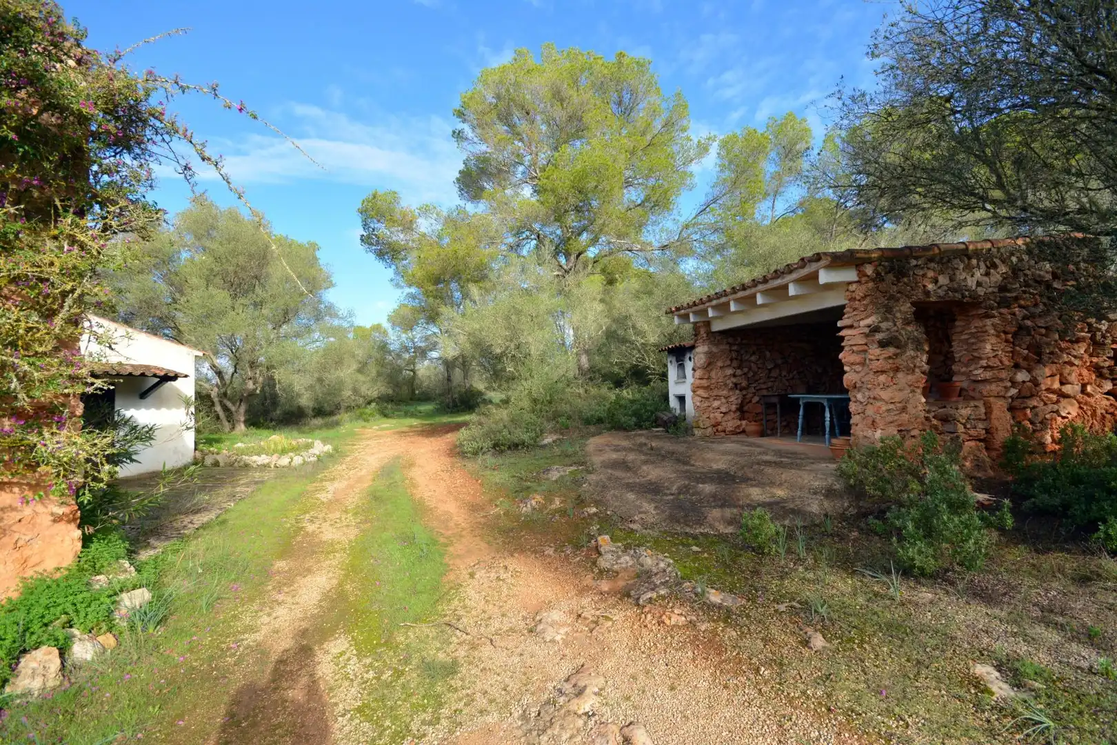 Casa rústica amb piscina en venda a Llevant, imagen 6