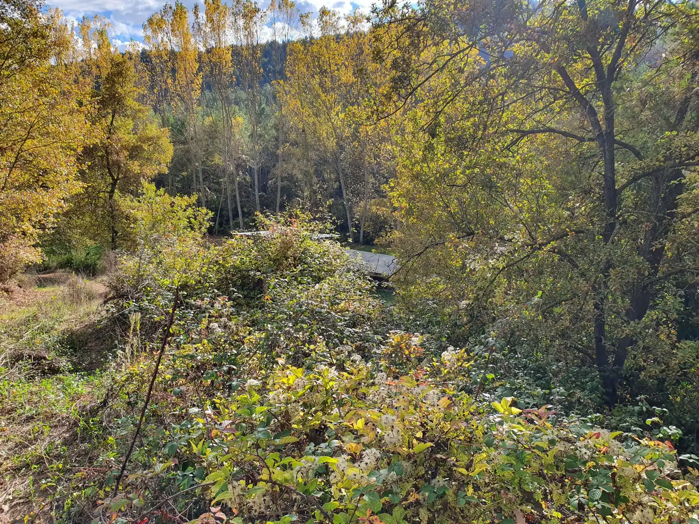 Grundstücke zum Verkauf in Solsona