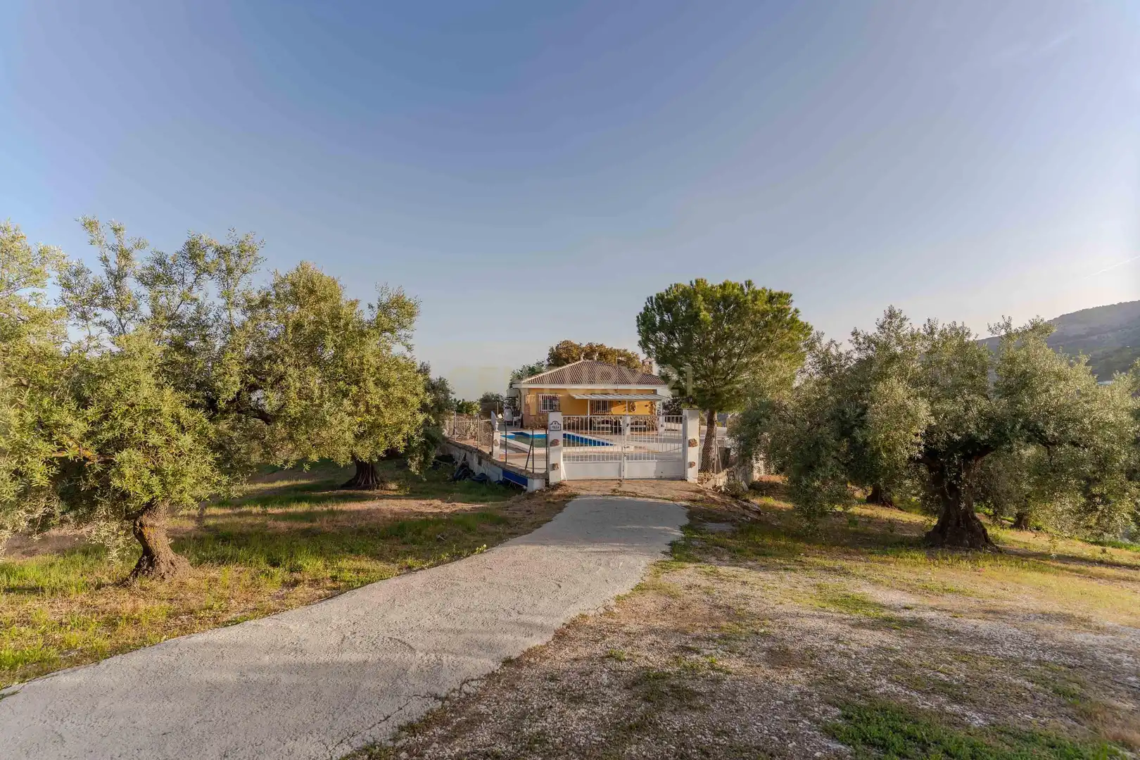 House with pool for sale in 18260 Íllora, Spain, imagen 11