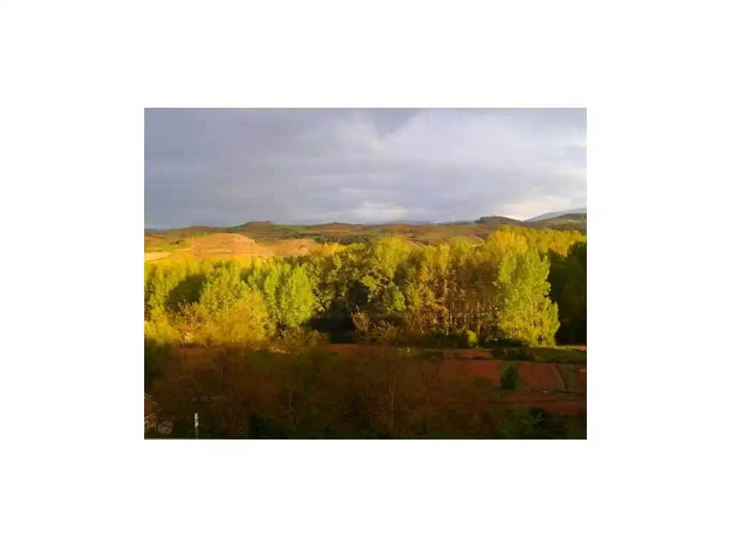 Exterior view of Houses for sale in Badarán  with Private garden and Balcony