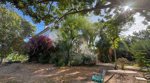 Foto 4 de Casa o chalet de alquiler en Los Balcones - Los Altos, Torrevieja