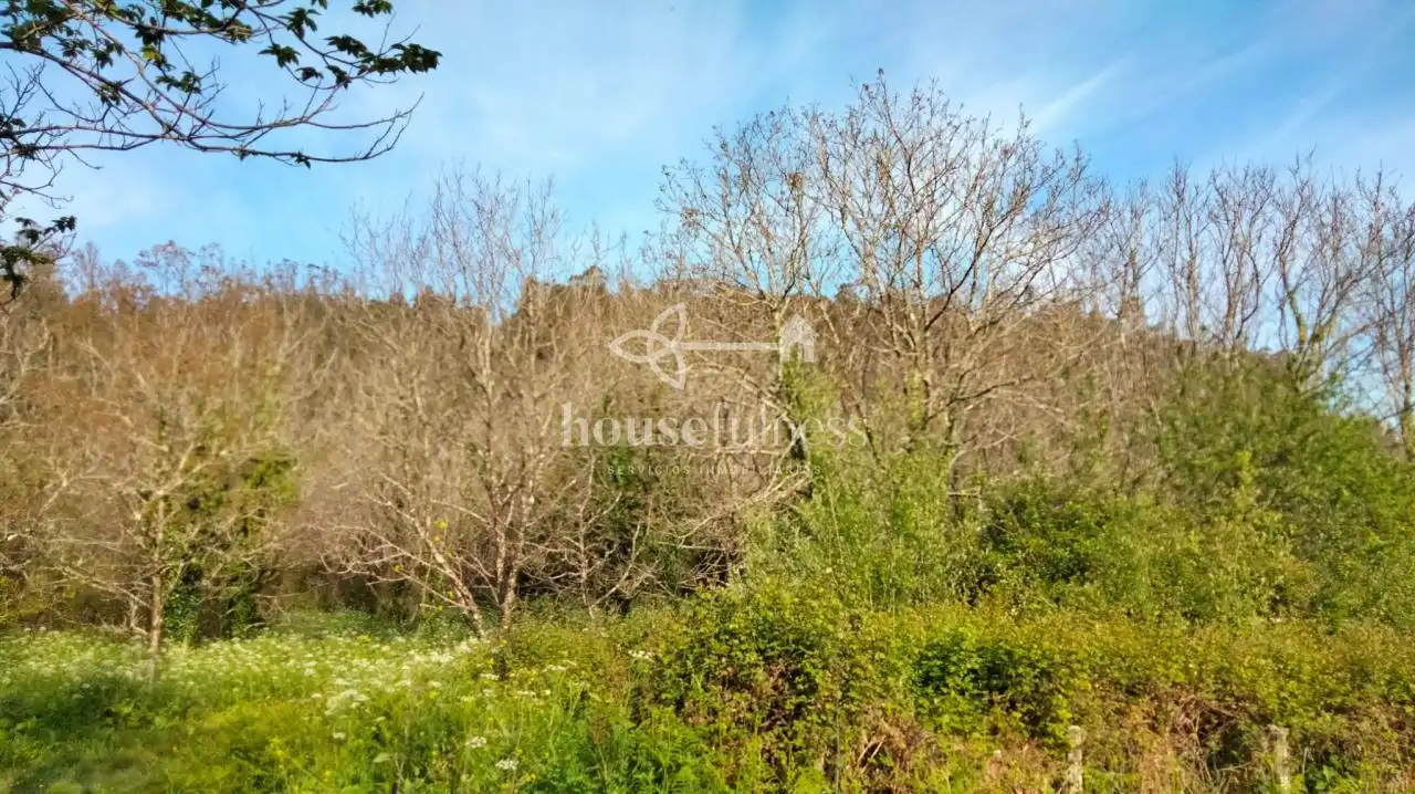 Country homes for sale in Ortigueira  with Private garden