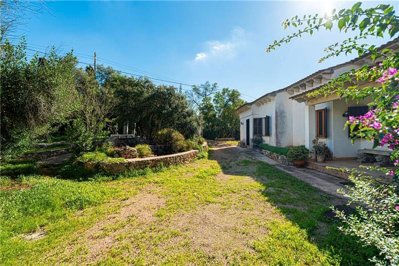 Jardí de Casa o xalet en venda en Marratxí amb Jardí privat, Terrassa i Traster
