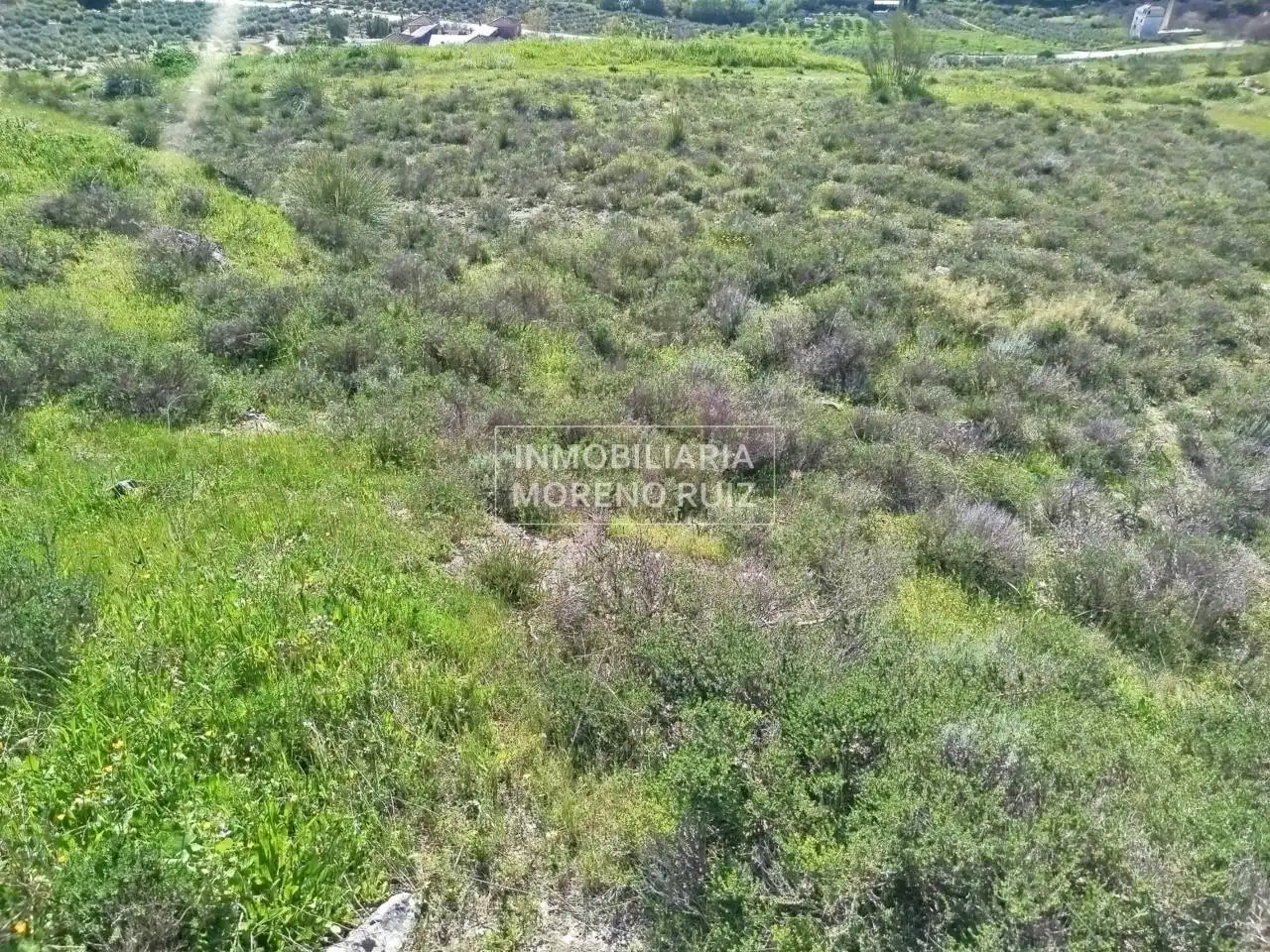Terreny residencial en venda a Luque, imagen 4