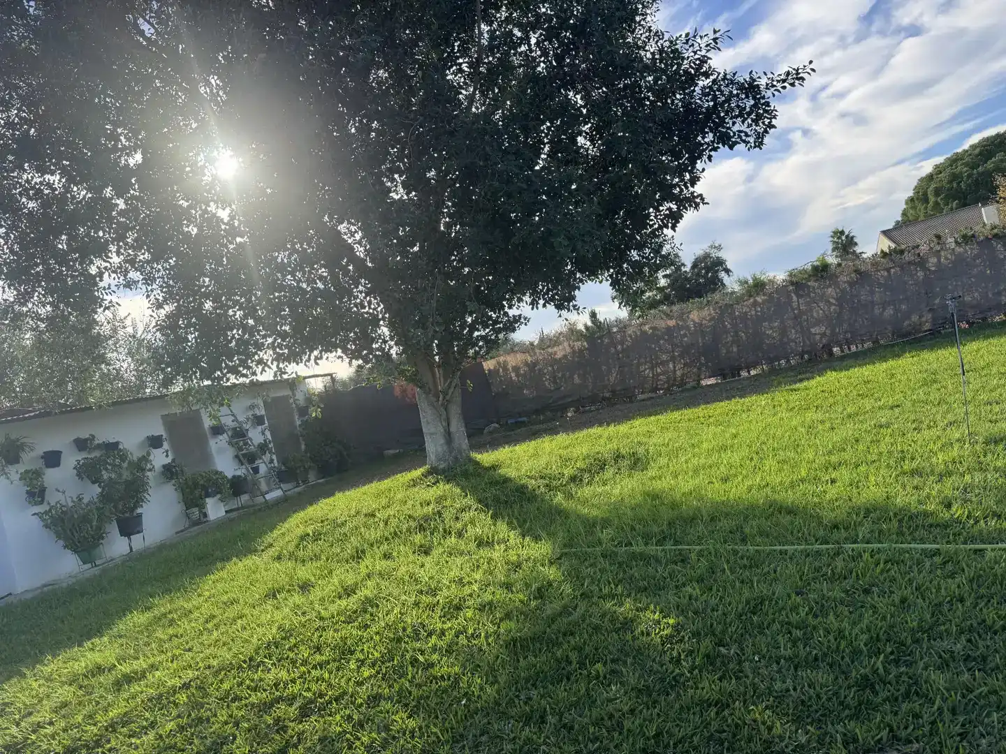 Casa o xalet en venda en Carmona amb Aire condicionat, Jardí privat i Traster