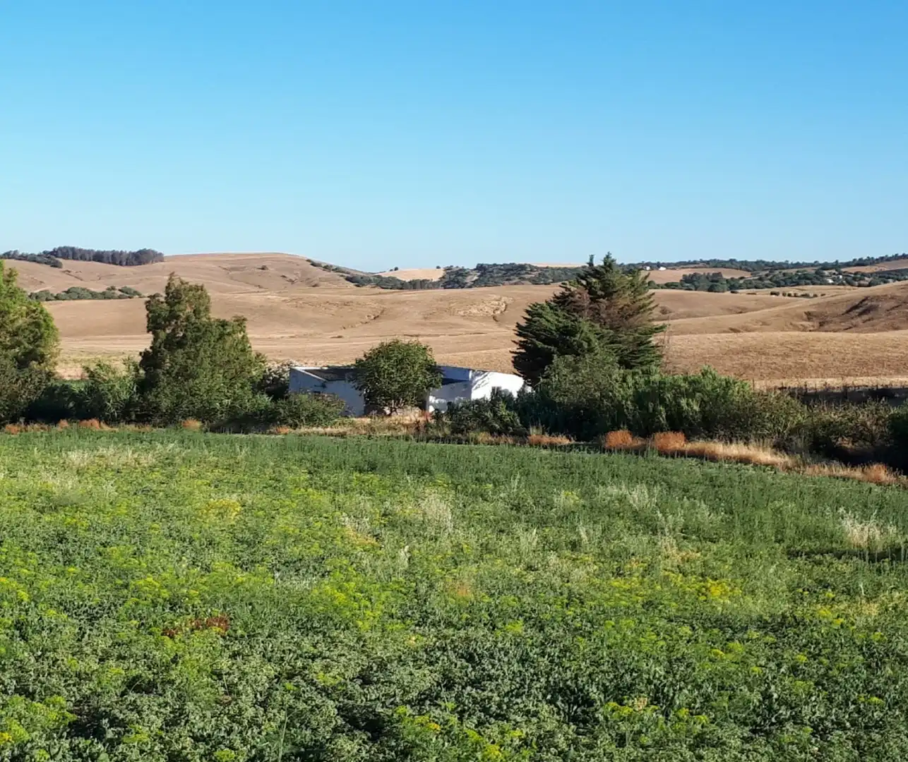 Finca rústica en venda en Medina Sidonia