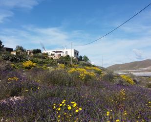 Vista exterior de Finca rústica en venda en Níjar amb Terrassa