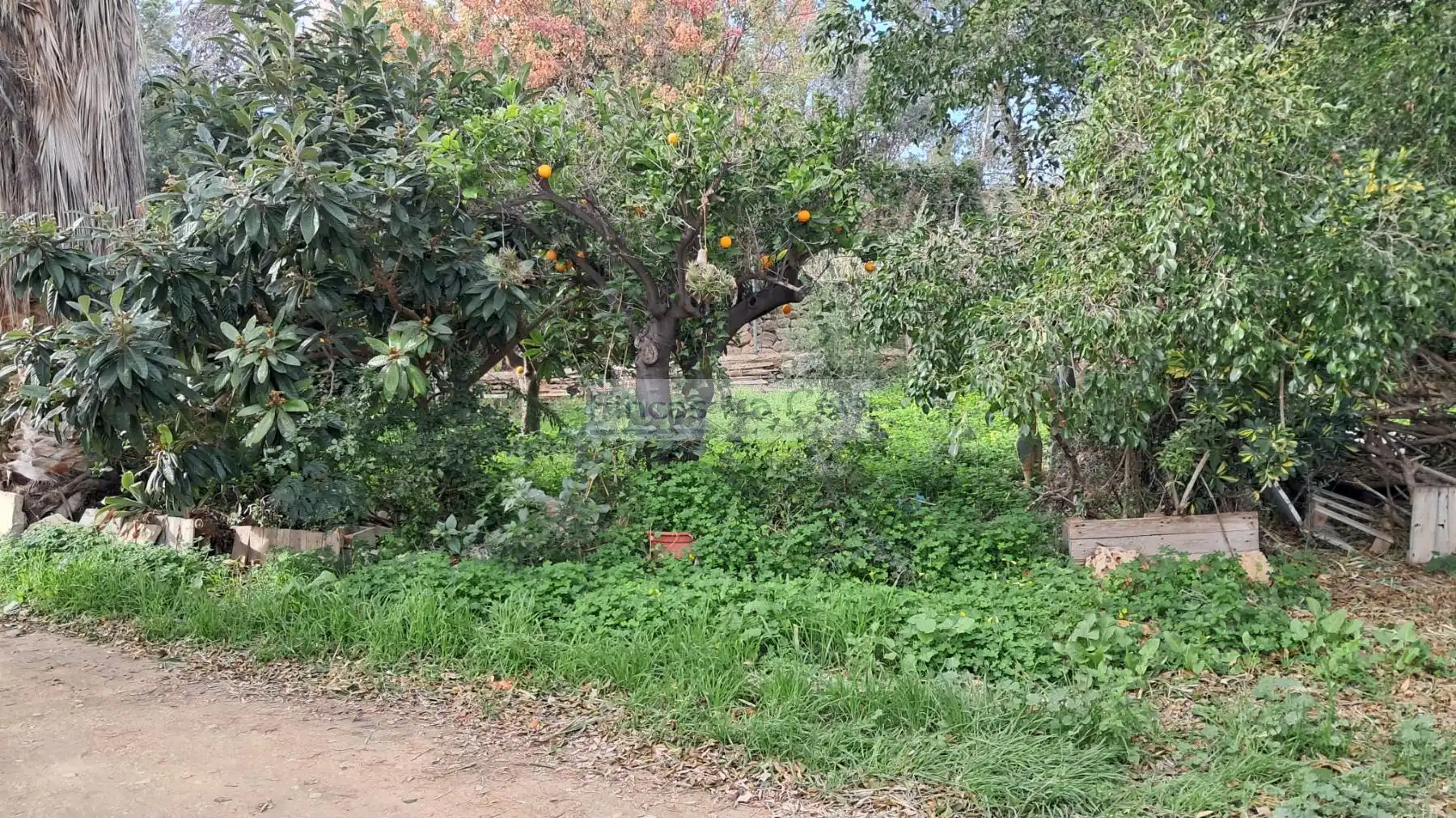 Landhaus zum Verkauf in El Secanet - Hacienda del Sol, imagen 15