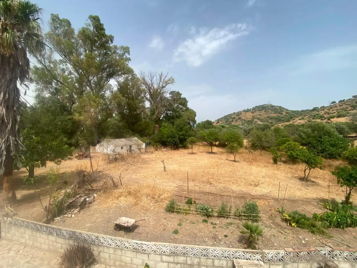 Terreni e lotti in vendita a Alcalá de los Gazules, imagen 9