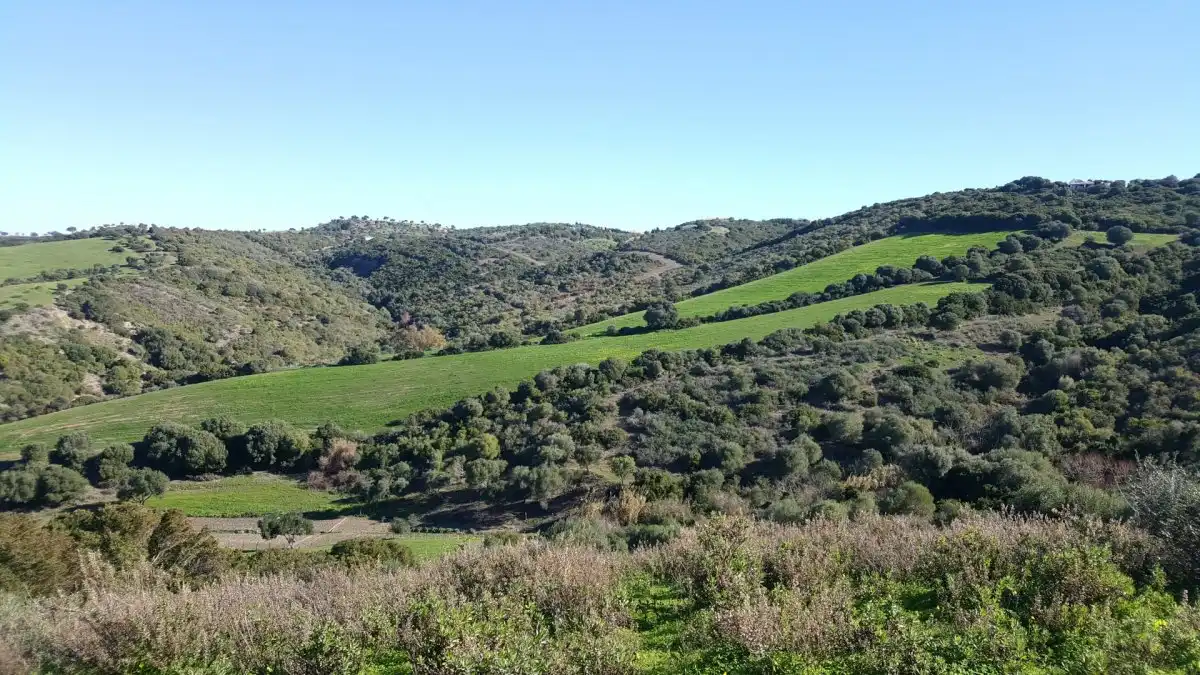 Terrain rustique à vendre à Vejer, imagen 5