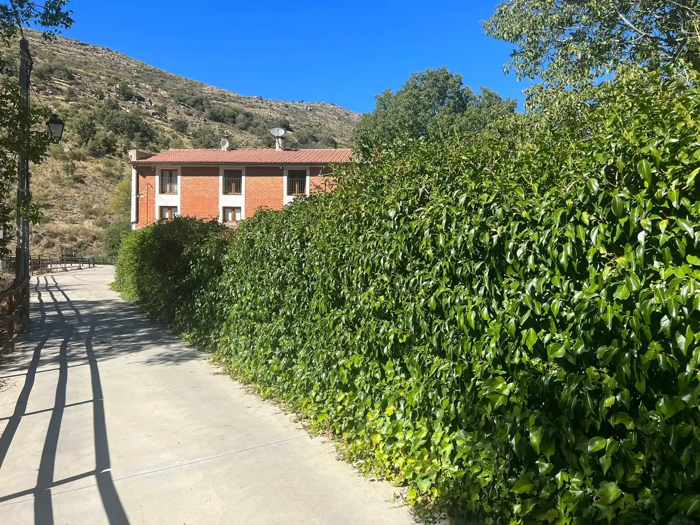 Vista exterior de Casa o chalet en venta en Navacepedilla de Corneja con Calefacción, Jardín privado y Parquet