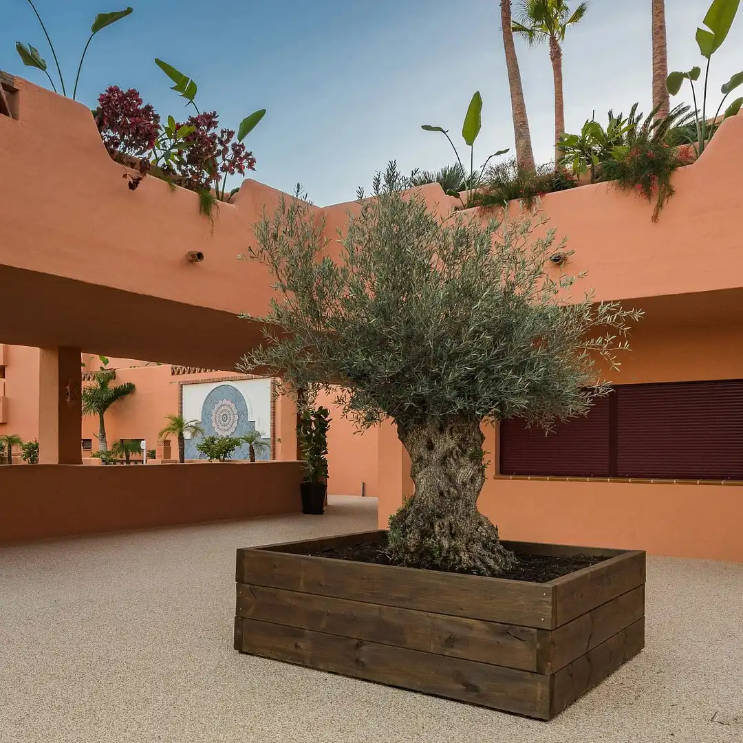 Apartamento con ascensor en venta en El Paraíso, imagen 8