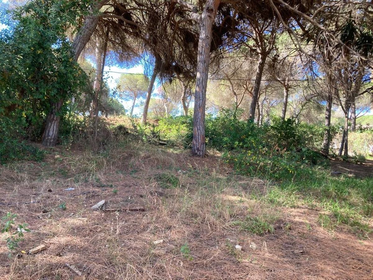 Industrial land for sale in Marbesa