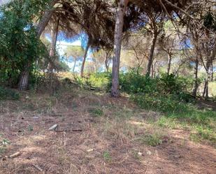 Terreny industrial en venda a Marbesa