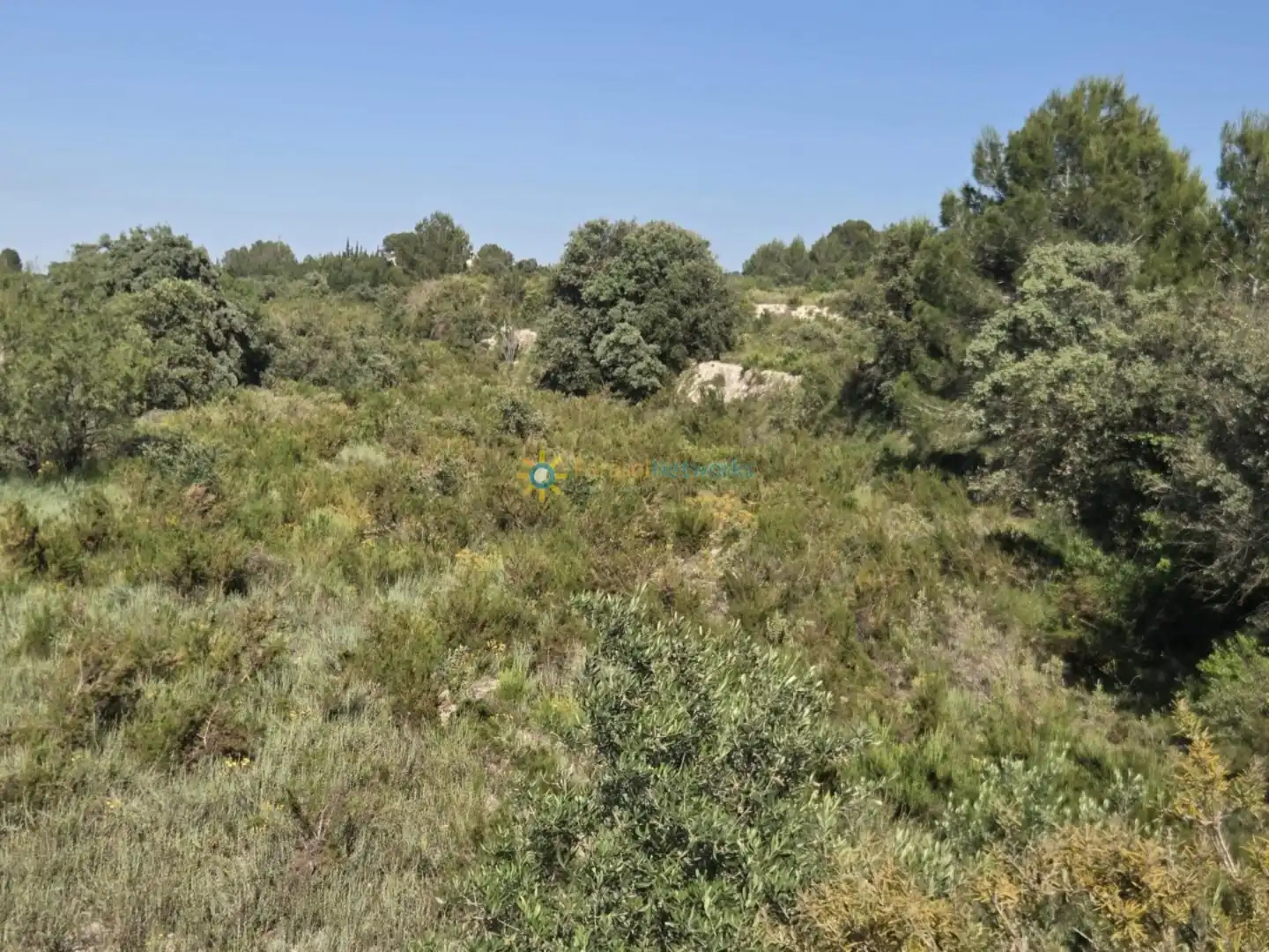 Rustikales Grundstück zum Verkauf in El Palomar, imagen 4