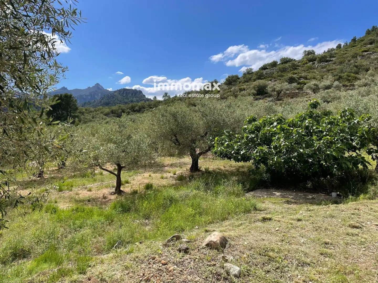Residential land for sale in 3, imagen 24